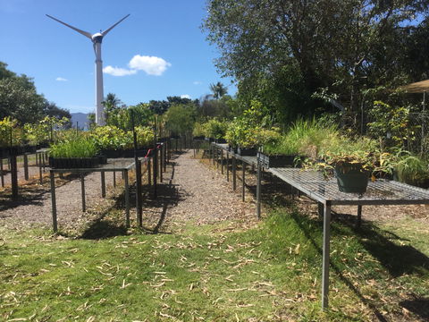 Conservation Volunteers Australia Townsville - Ocean View Nursery - Tourism Bookings 0