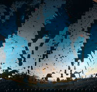 Cootamundra Cup - Events Australia