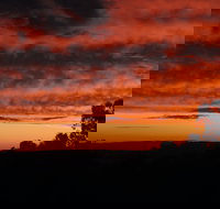 Cottontail Wines Christmas Day Lunch - Events Australia