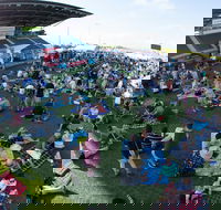Craft Beer Sunshine Coast Festival - Tourism Bookings