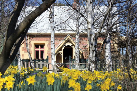 Daffodils At Rydal - Events Australia 0