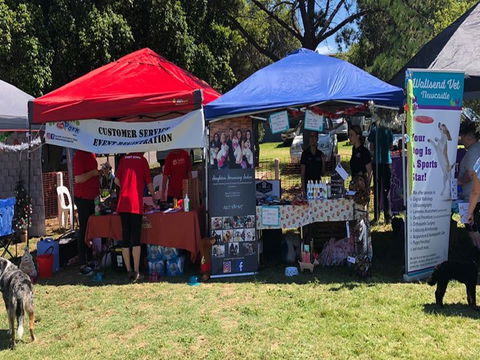 Dogs In The Park Shell Harbour - Events Australia 0