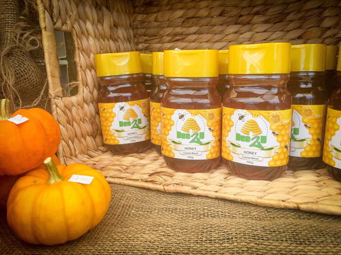 Greater Whitsunday Farmers Markets - Events Australia 1