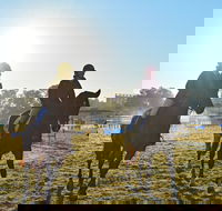 Gunnedah Showjumping Festival - Events Australia
