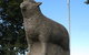 Guyra Lamb And Potato Festival - thumb 0