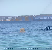 Jervis Bay's Sydney to Hobart Experience - Events Australia