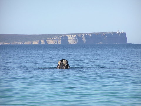Jervis Bay's Sydney To Hobart Experience - Events Australia 0