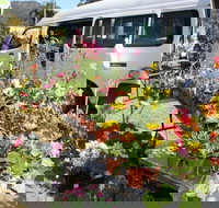 Johns River Country Markets - Tourism Bookings