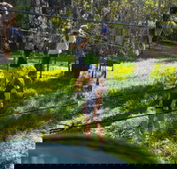 July 2020 Holidays- Forest Smores  Explore - Events Australia