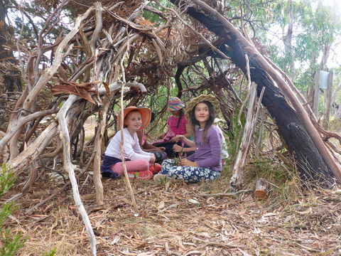 July 2020 Holidays- Forest Adventures Treasure Hunt - Tourism Bookings 2