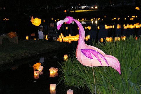 Lanterns On The Lagoon - Events Australia 1