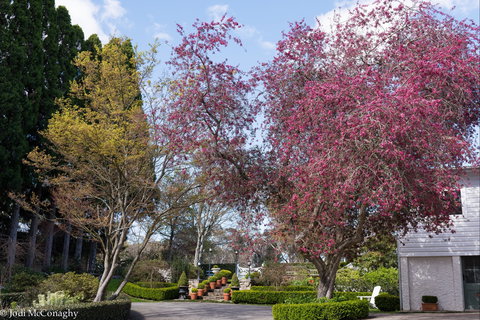 Leura Gardens Festival - Cancelled - Events Australia 0