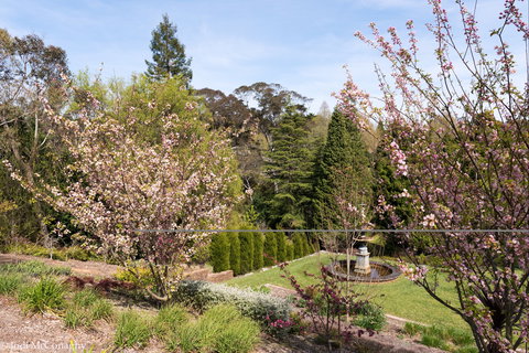Leura Gardens Festival - Cancelled - Events Australia 2
