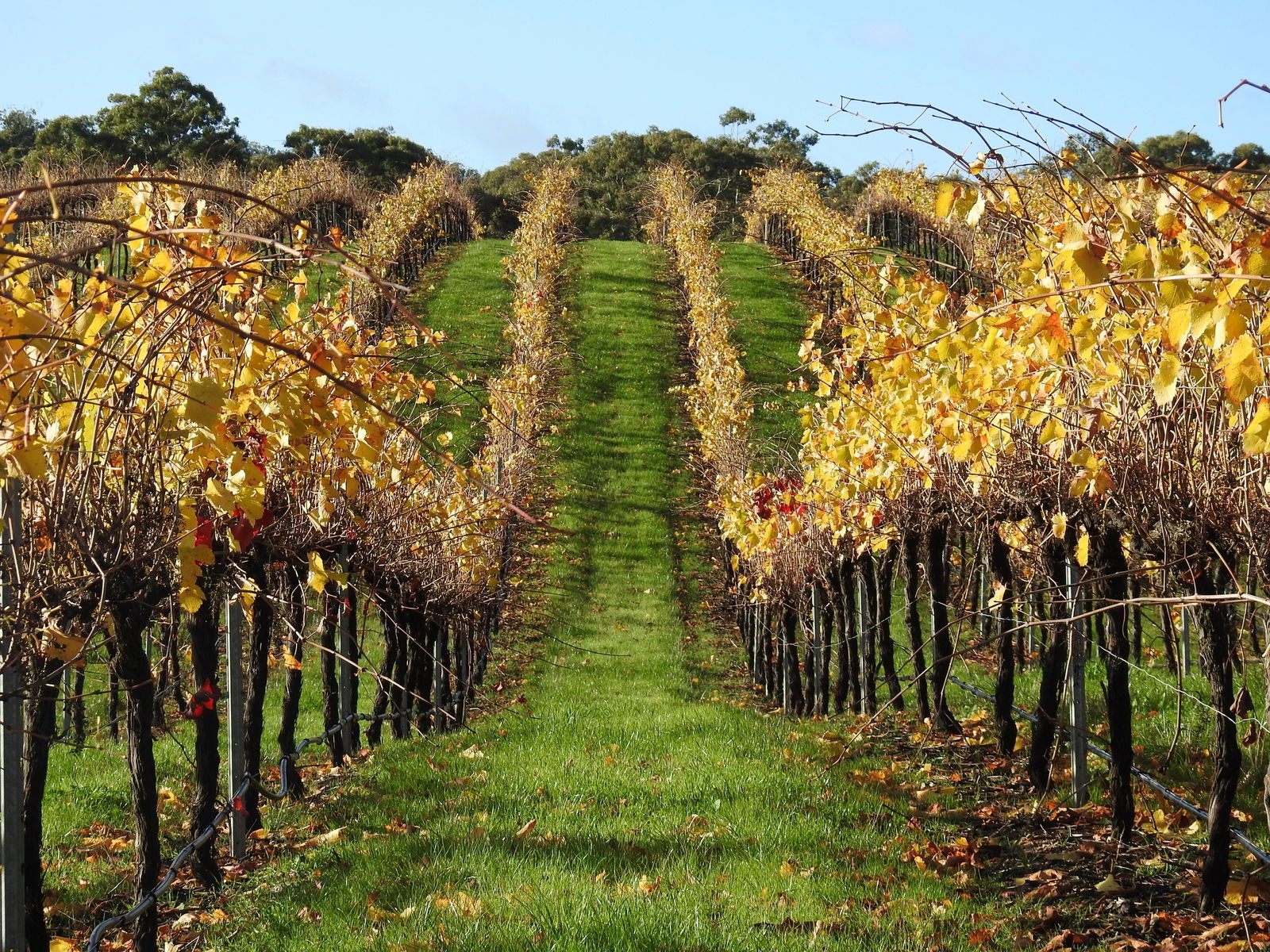 Armstrong VIC Events Australia