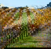 Miners Ridge Wine Tasting - Events Australia