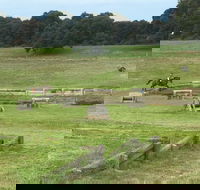 Mount Gambier and District Pony Club Horse Trials 2020 - Events Australia