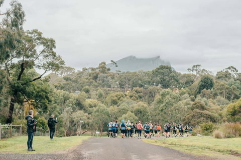 Peaks And Trails Run - Tourism Bookings 1