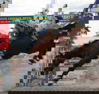 Stroud Rodeo and Campdraft - Events Australia