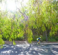 SunSmart FunMan Triathlon - Tourism Bookings