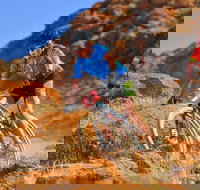 The Redback - Tourism Bookings