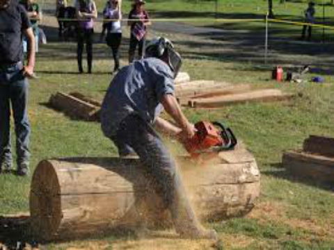 Tocal Field Days - Events Australia 0