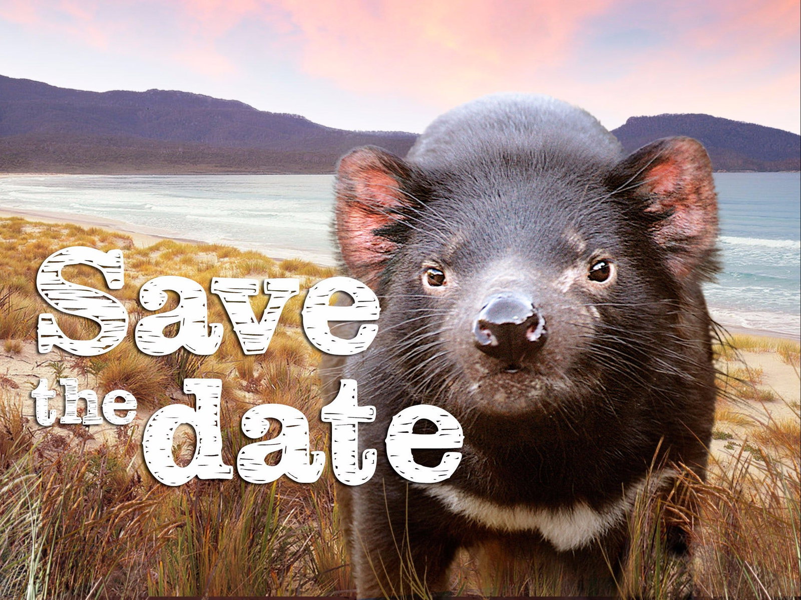 Andover TAS Events Australia