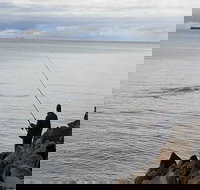 Whale Watching in Portland - Events Australia