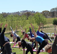 Yoga in the Vines - Tourism Bookings