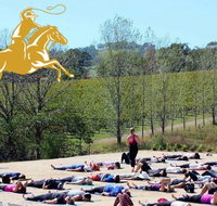 Yoga in the Vines - Tourism Bookings