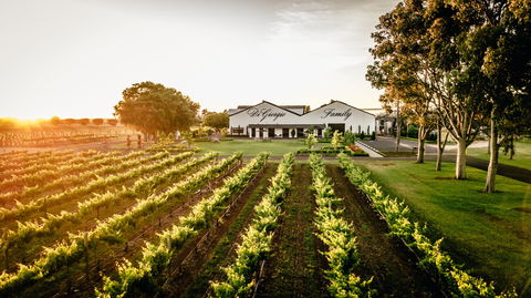 Aged Wine And Vintage Pies - Events Australia 2