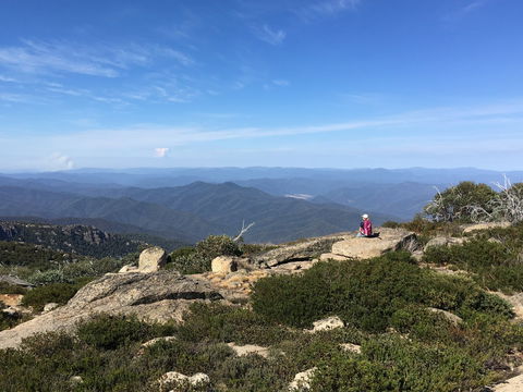 Hedonistic Hiking's Buffalo And Bubbles - Events Australia 1