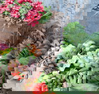 Ma Ma Creek Markets - Events Australia