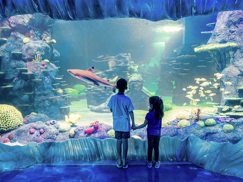 Sydney's Aquarium - Tourism Bookings 1