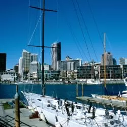 Auckland