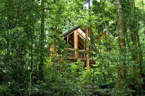 The Canopy Rainforest Treehouses And Wildlife Sanctuary - Events Australia 1