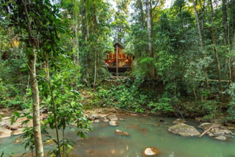 The Canopy Rainforest Treehouses And Wildlife Sanctuary - Events Australia 0