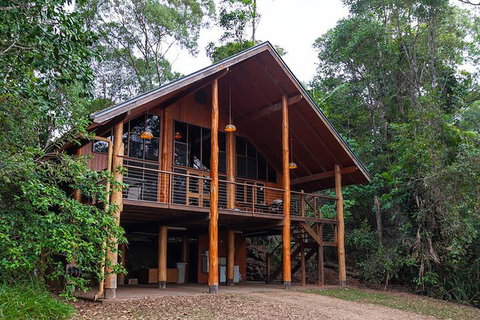 The Canopy Rainforest Treehouses And Wildlife Sanctuary - Events Australia 3
