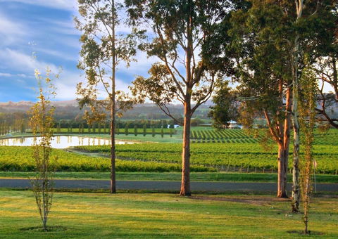 Estate Tuscany - Events Australia 6