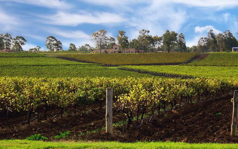 Estate Tuscany - Events Australia 3