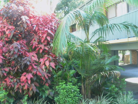 Port Stephens Motel - Events Australia 0