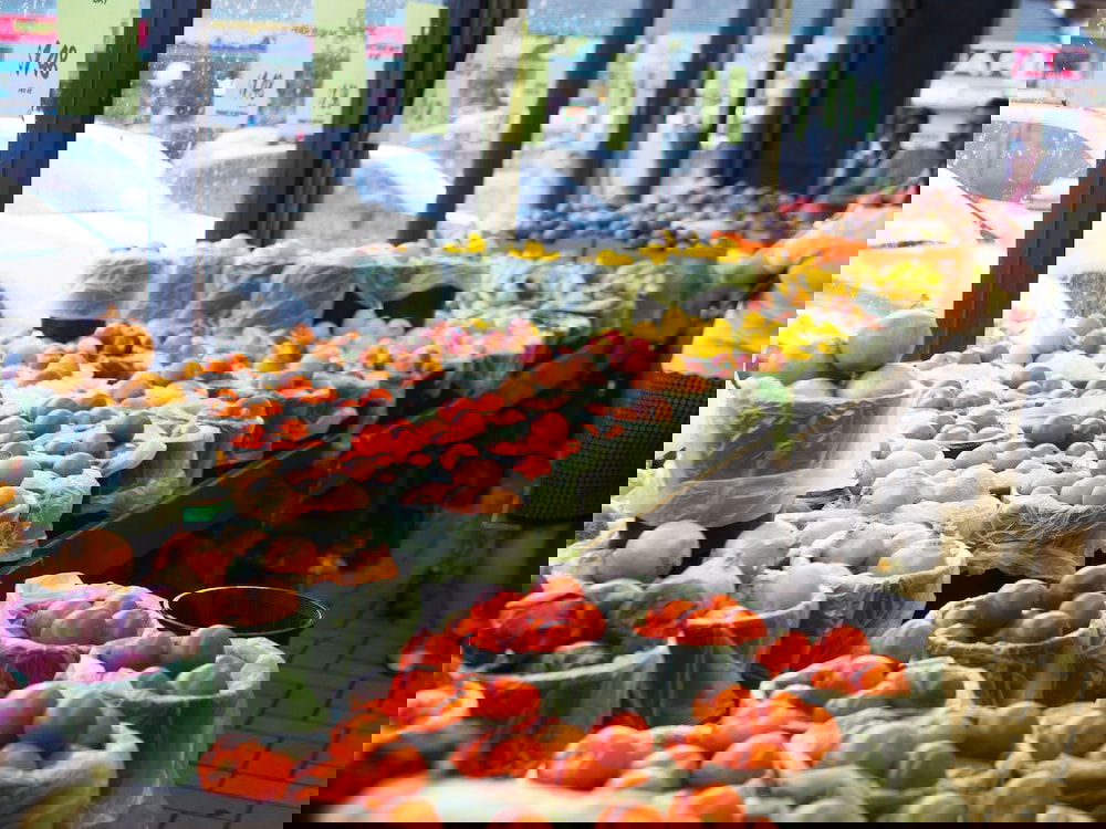 Algester QLD Tourism Bookings