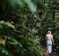 Daintree Ecolodge - Accommodation Europe