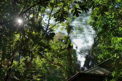 Narrows Escape Rainforest Retreat - Accommodation Europe 5