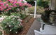 Clarendon Cottages - thumb 5