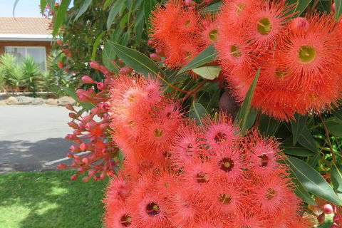 Port Campbell Motor Inn - Events Australia 4