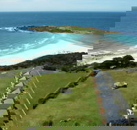 Diamond Island Resort  Bicheno Penguin Show - Events Australia