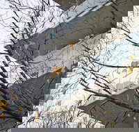 The Sebel Launceston - Events Australia