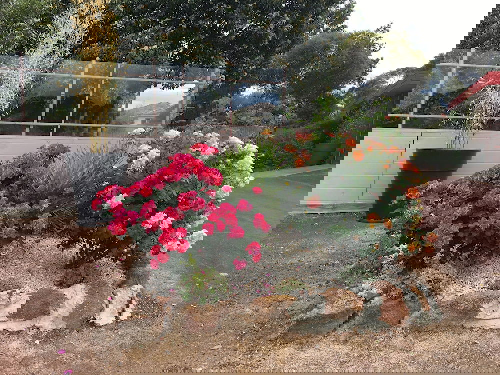 Armstrong VIC Tourism Bookings