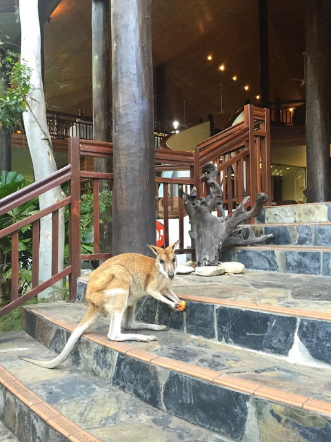 Thala Beach Nature Reserve - Events Australia 2