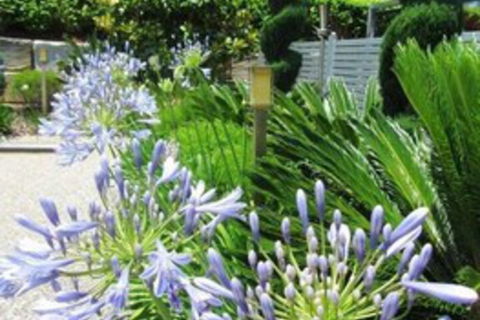 Highfields Motel Toowoomba - Events Australia 5